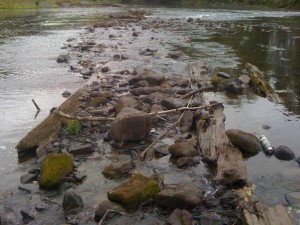 Photo 2: Close up view of unnamed dam. Photo courtesy of American Rivers.