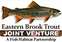 Brook Trout