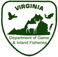 vdgif-logo2